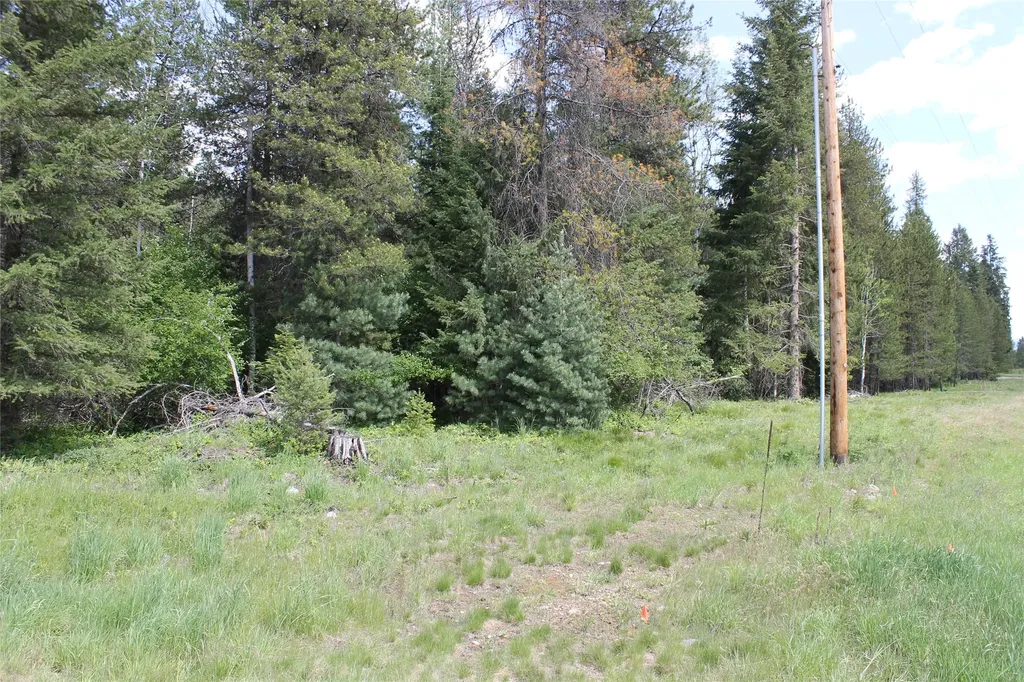 2773 Mt Highway 200 Trout Creek MT 59874