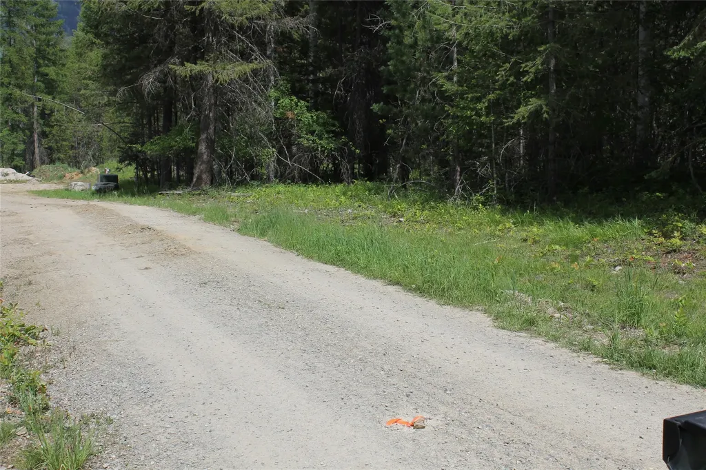 2773 Mt Highway 200 Trout Creek MT 59874