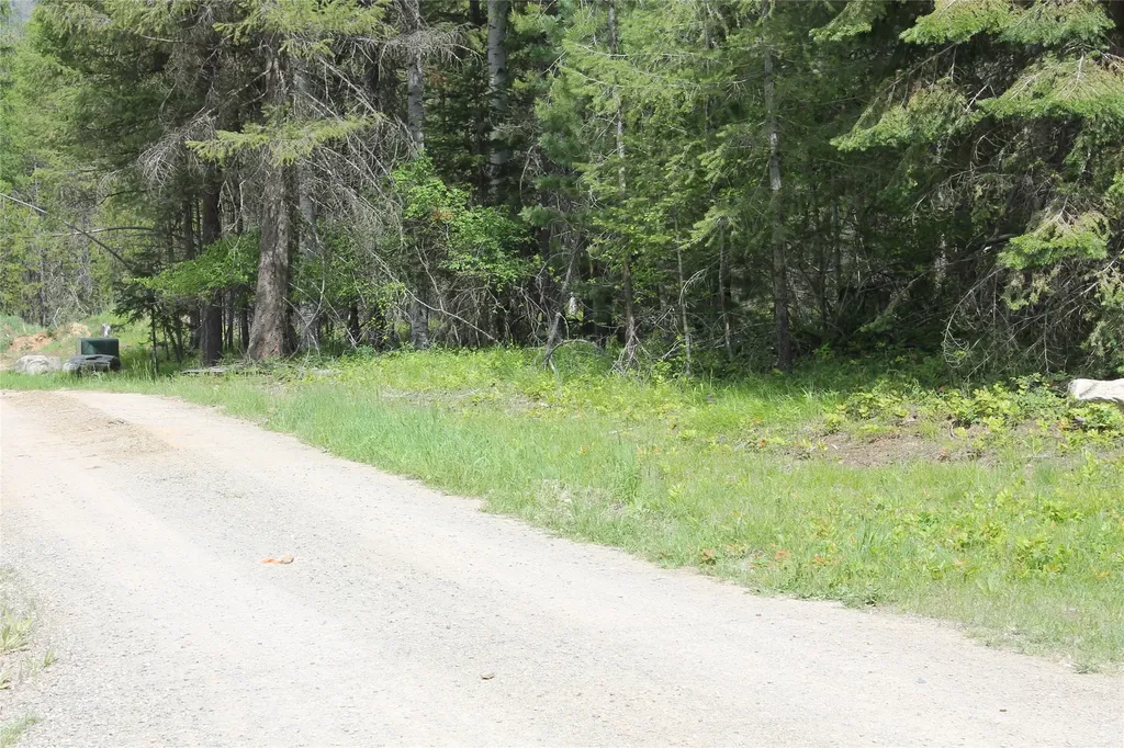 2773 Mt Highway 200 Trout Creek MT 59874