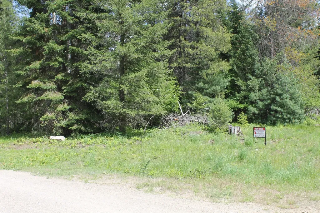 2773 Mt Highway 200 Trout Creek MT 59874