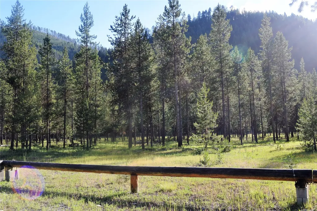 Nhn (Parcel A) Deer Walk Way Darby MT 59829