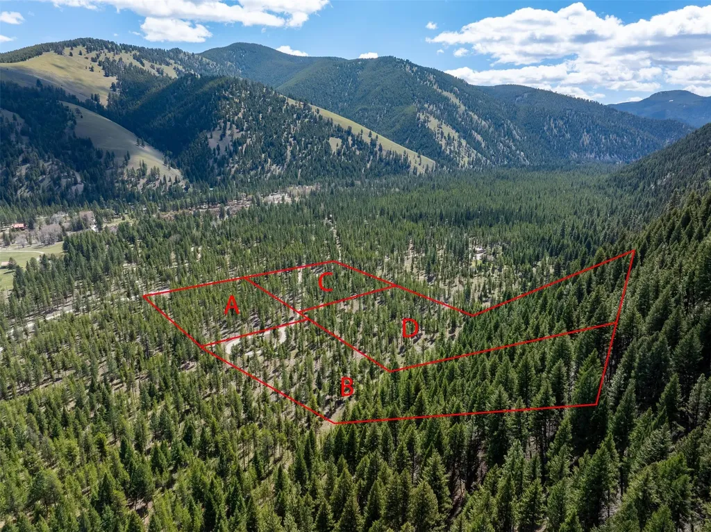 Nhn (Parcel A) Deer Walk Way Darby MT 59829