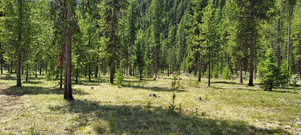 Nhn (Parcel A) Deer Walk Way Darby MT 59829