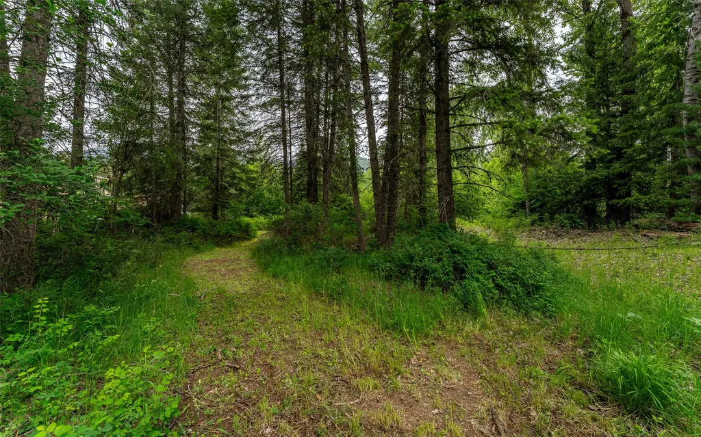104 And 108 Remington Road Noxon MT 59853
