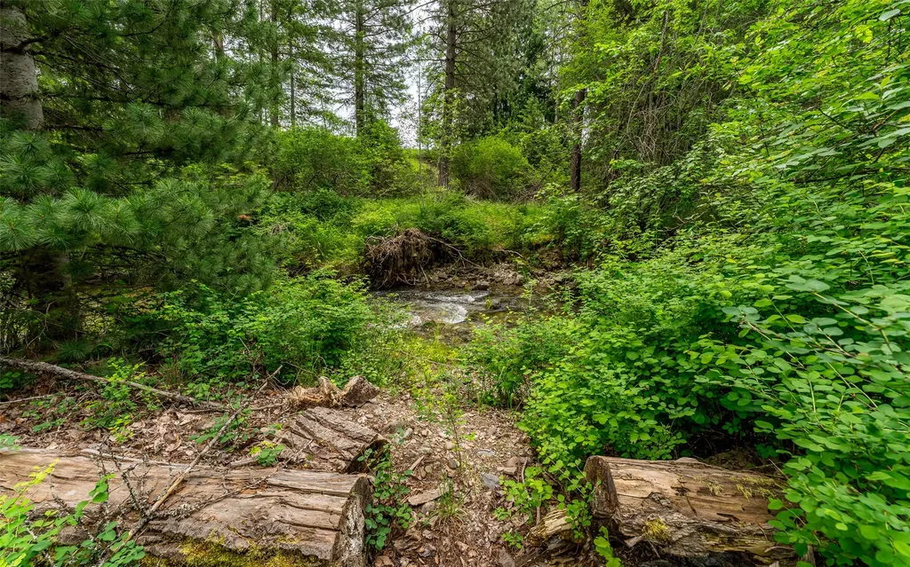 104 And 108 Remington Road Noxon MT 59853
