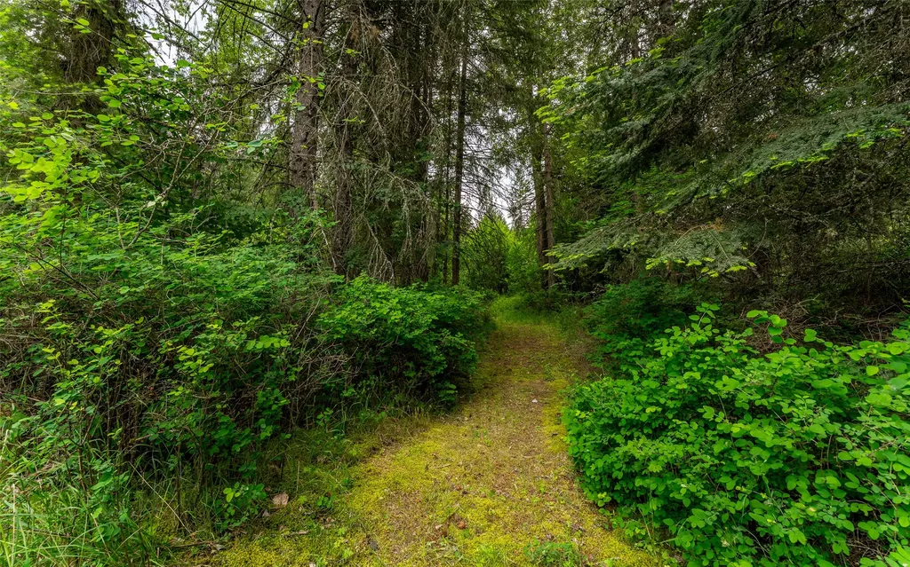 104 And 108 Remington Road Noxon MT 59853