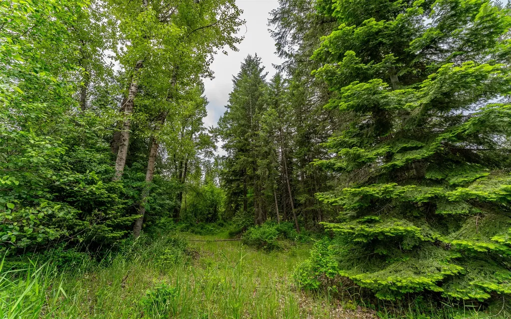 104 And 108 Remington Road Noxon MT 59853