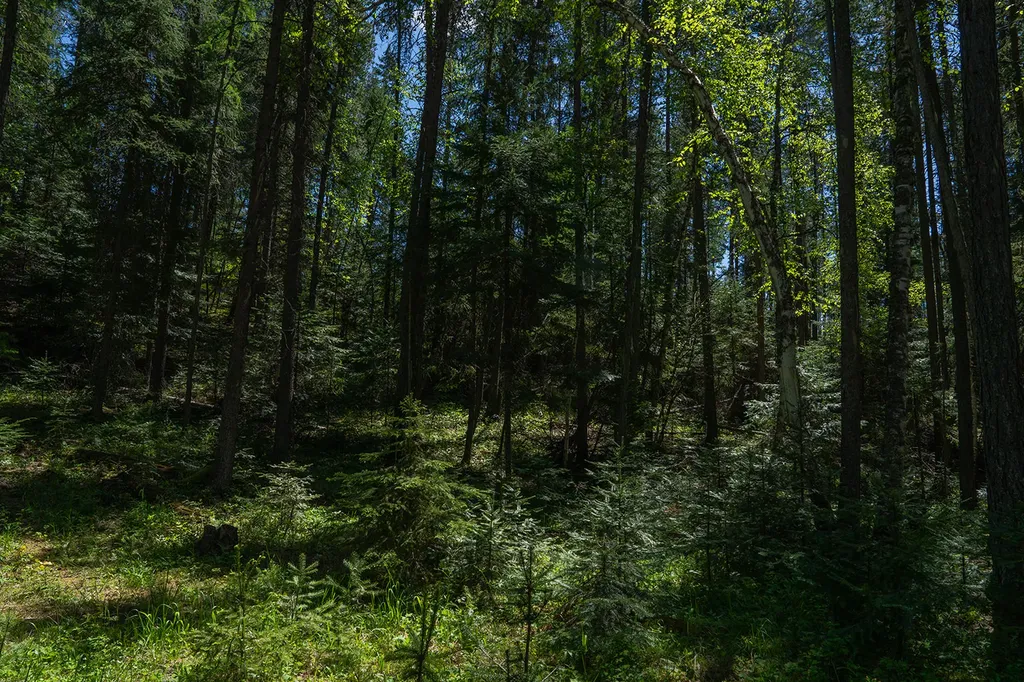 132 Rockwood Road Kalispell MT 59901