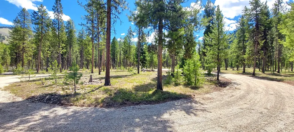Nhn (Parcel B) Deer Walk Way Darby MT 59829