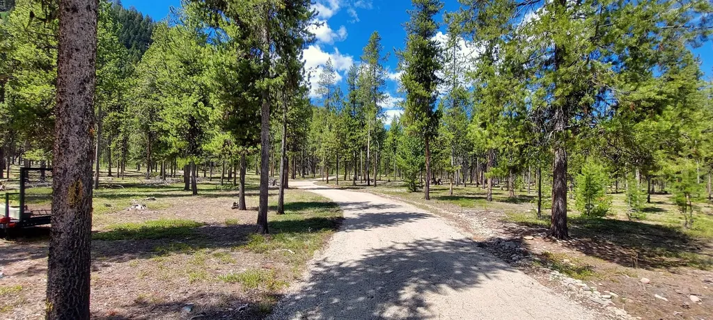 Nhn (Parcel B) Deer Walk Way Darby MT 59829
