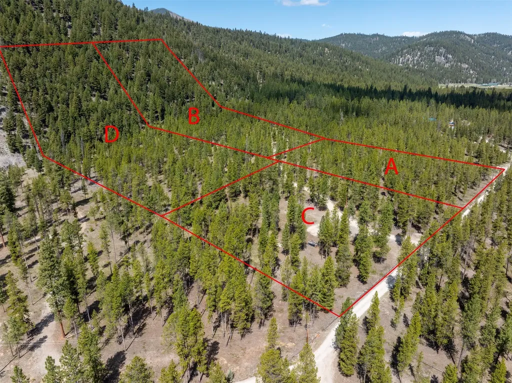Nhn (Parcel B) Deer Walk Way Darby MT 59829