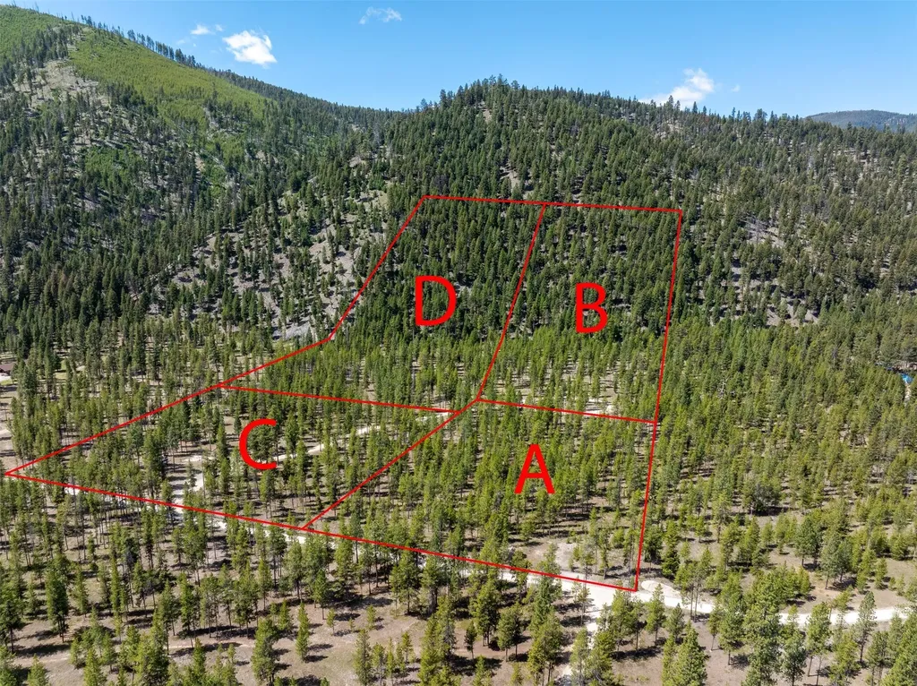 Nhn (Parcel B) Deer Walk Way Darby MT 59829