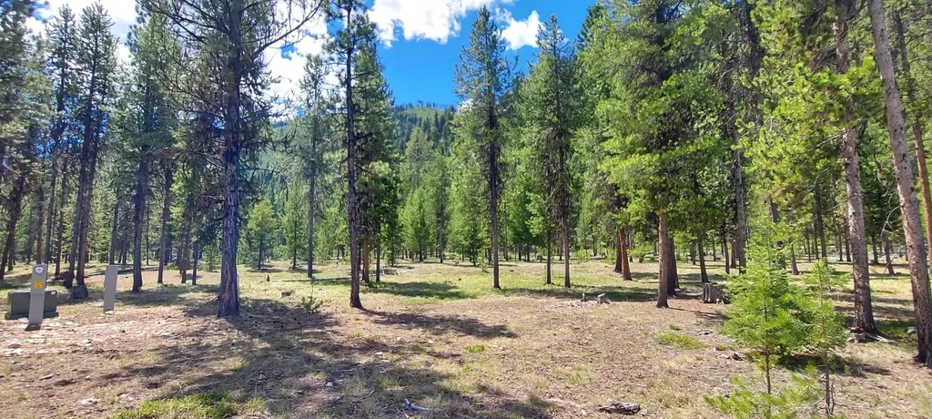Nhn (Parcel D) Deer Walk Way Darby MT 59829
