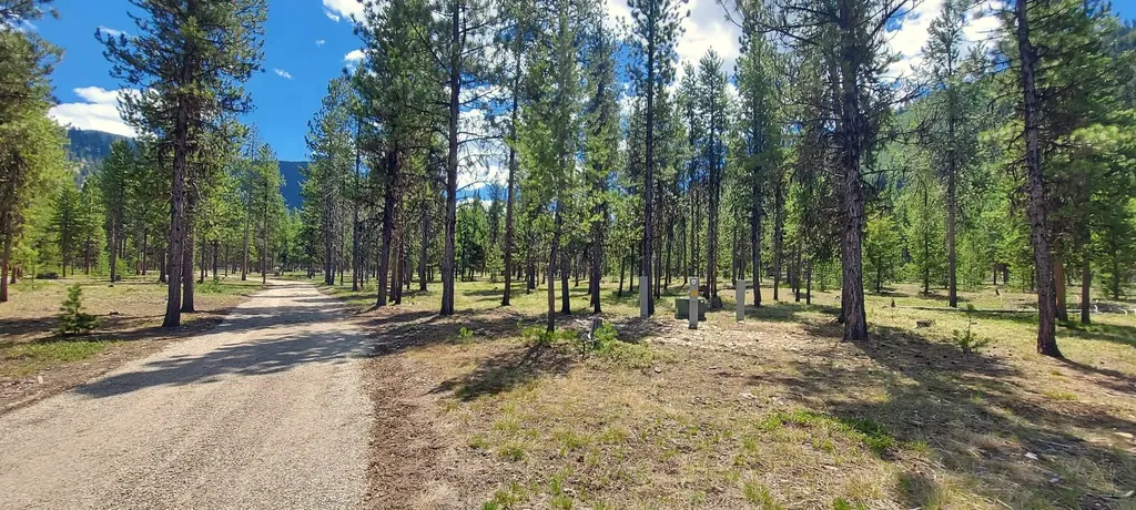 Nhn (Parcel D) Deer Walk Way Darby MT 59829