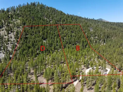 NHN (Parcel D) Deer Walk Way Darby MT 59829