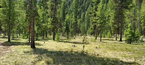 NHN (Parcel D) Deer Walk Way Darby MT 59829