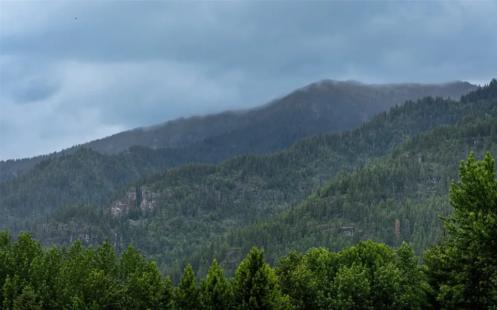 100 Remington Road Noxon MT 59853