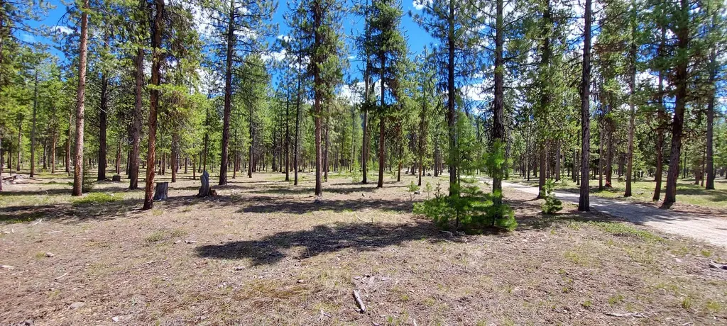 Nhn (Parcel C) Deer Walk Way Darby MT 59829