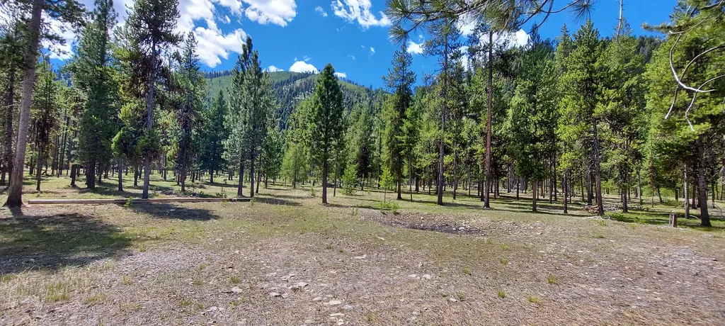 Nhn (Parcel C) Deer Walk Way Darby MT 59829
