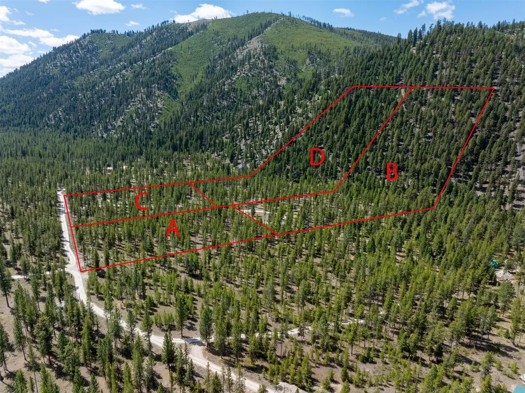 Nhn (Parcel C) Deer Walk Way Darby MT 59829