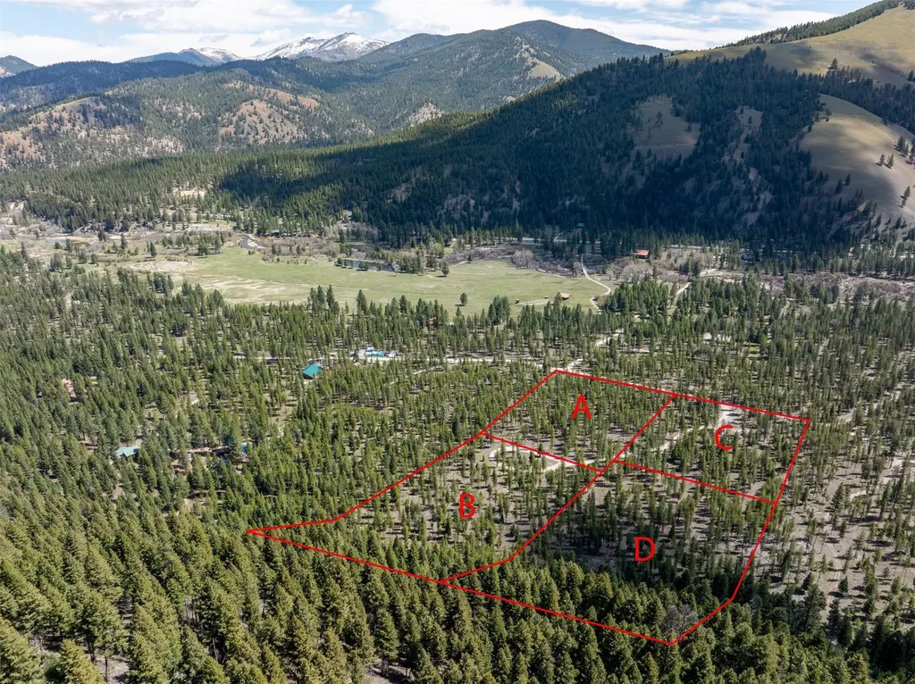 Nhn (Parcel C) Deer Walk Way Darby MT 59829