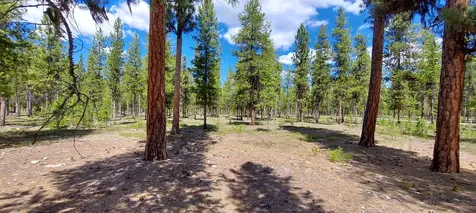 NHN (Parcel C) Deer Walk Way Darby MT 59829
