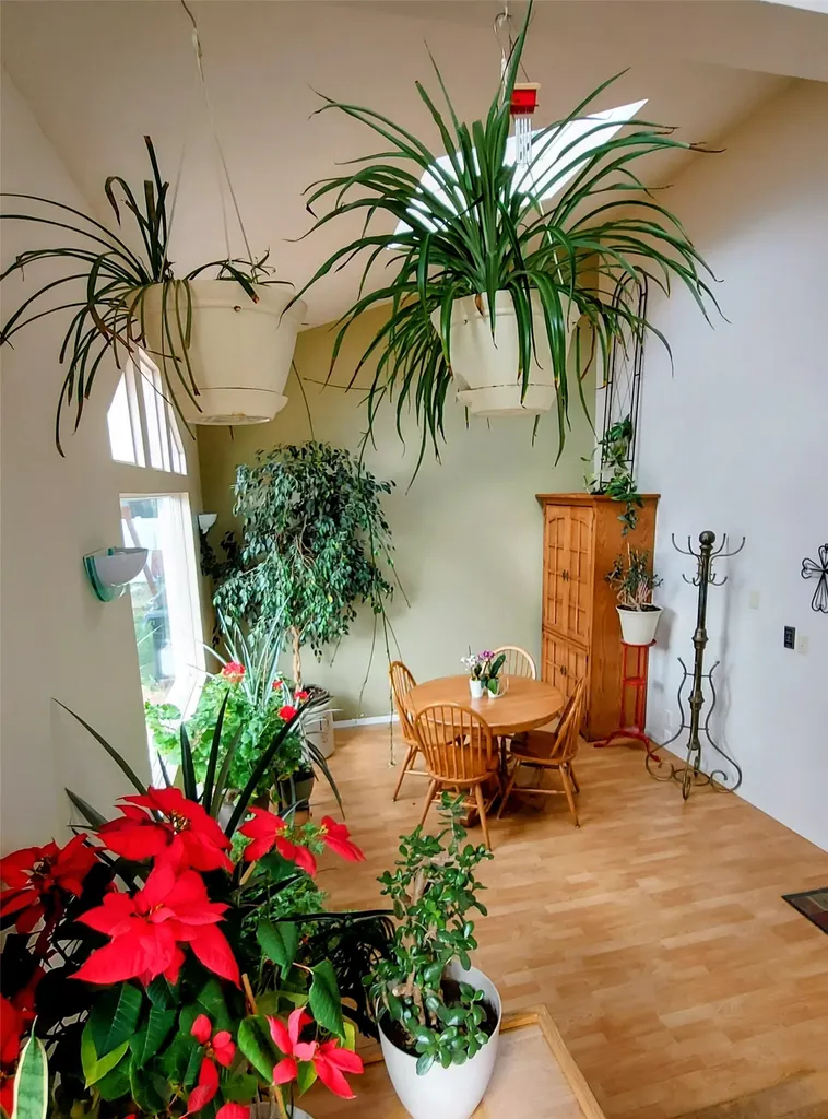 20 Penny Lane Butte MT 59701