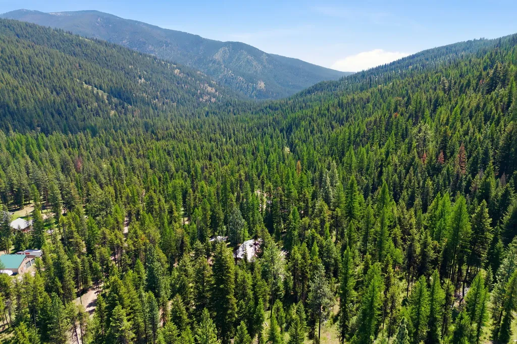 7089 Micah Springs Lane Alberton MT 59820