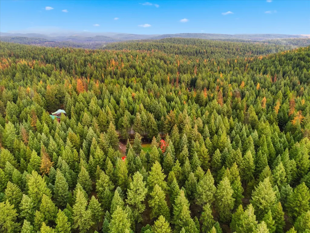 258 Terning Drive E Eureka MT 59917
