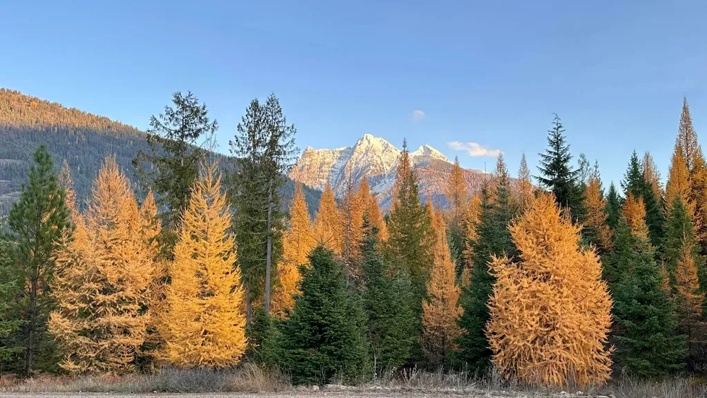 17734 Bull Lake Road Troy MT 59935