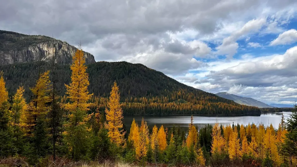 17734 Bull Lake Road Troy MT 59935