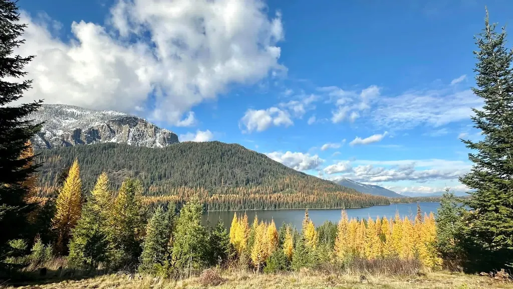17734 Bull Lake Road Troy MT 59935
