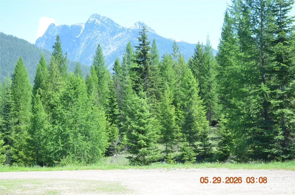 17734 Bull Lake Road Troy MT 59935