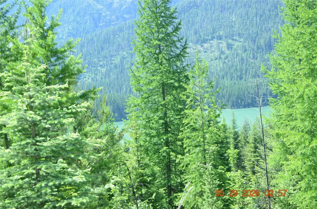 17734 Bull Lake Road Troy MT 59935