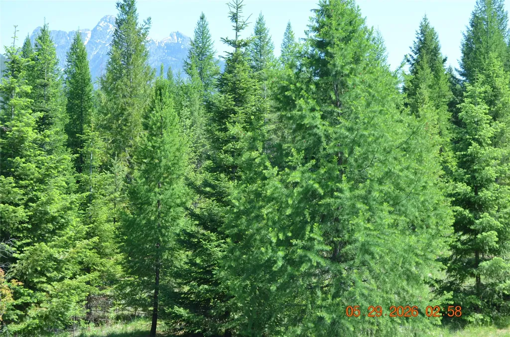 17734 Bull Lake Road Troy MT 59935