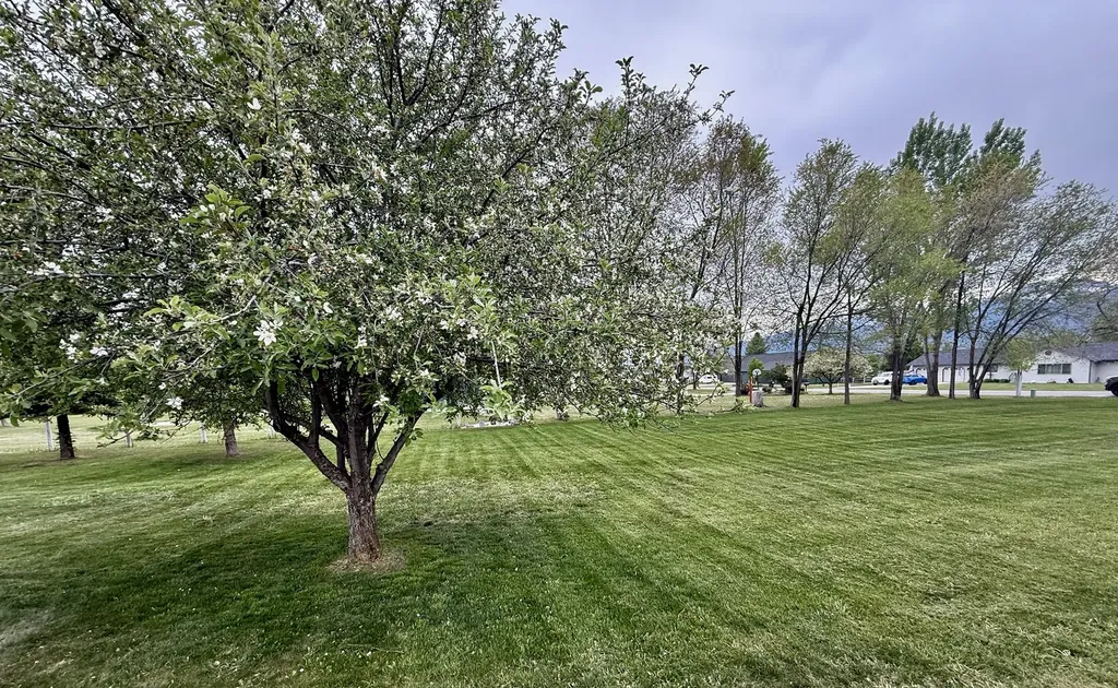 5383 Grand Vista Drive Florence MT 59833