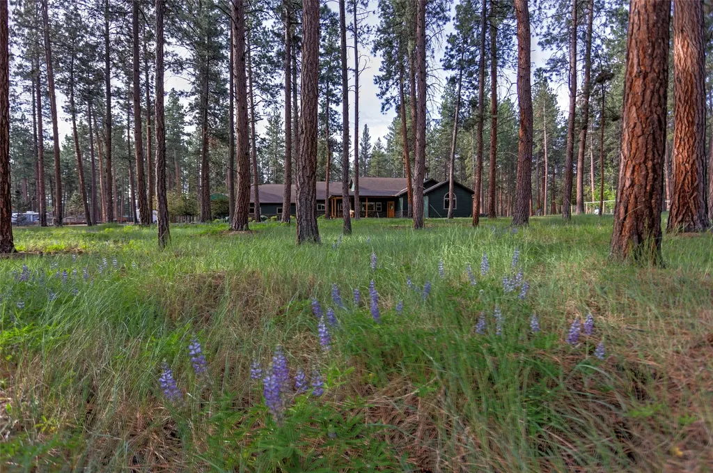 123 Mountain Goat Road Hamilton MT 59840