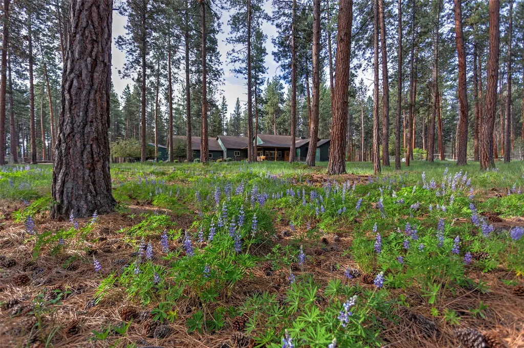 123 Mountain Goat Road Hamilton MT 59840