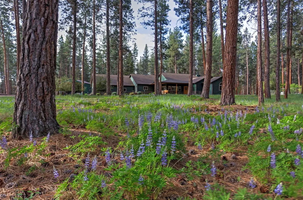 123 Mountain Goat Road Hamilton MT 59840