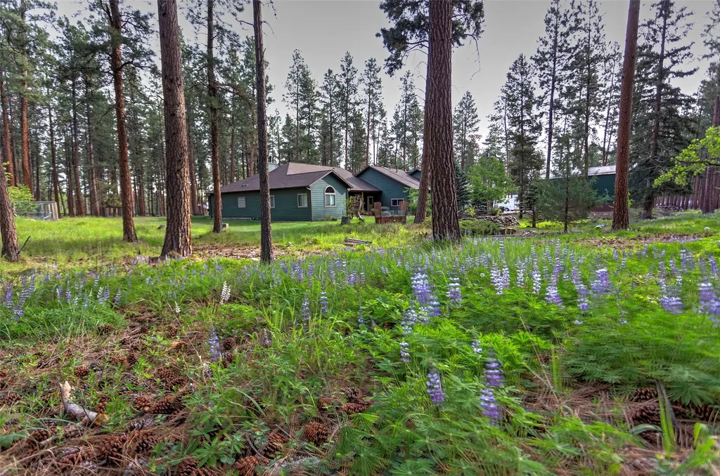 123 Mountain Goat Road Hamilton MT 59840