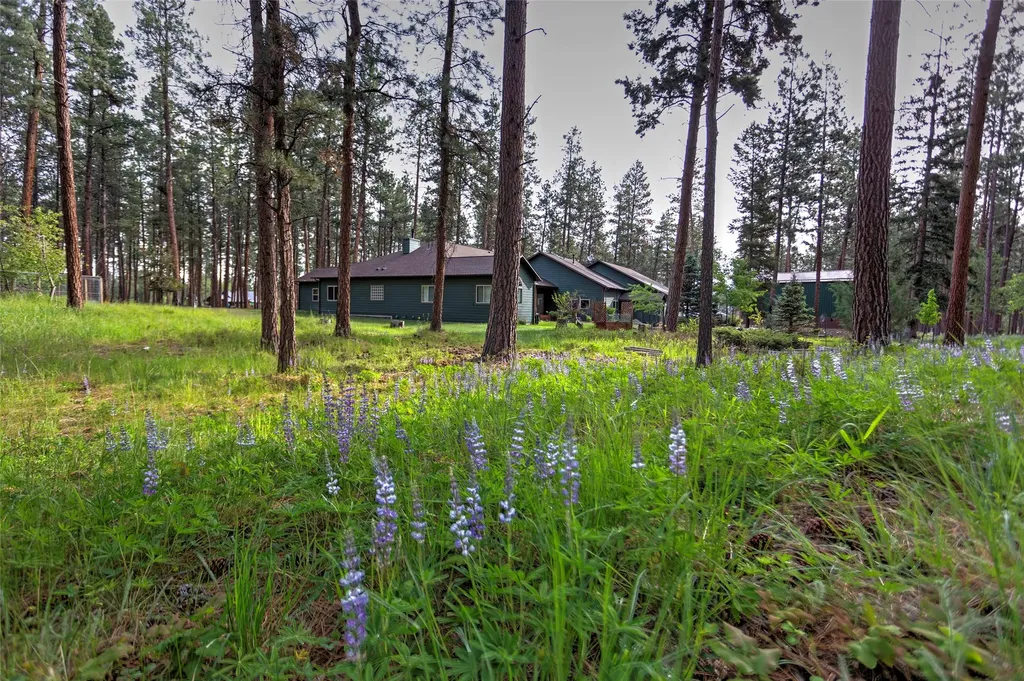 123 Mountain Goat Road Hamilton MT 59840