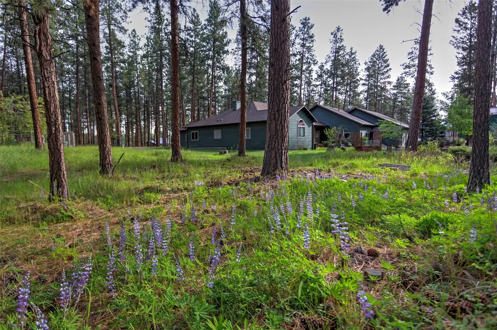 123 Mountain Goat Road Hamilton MT 59840