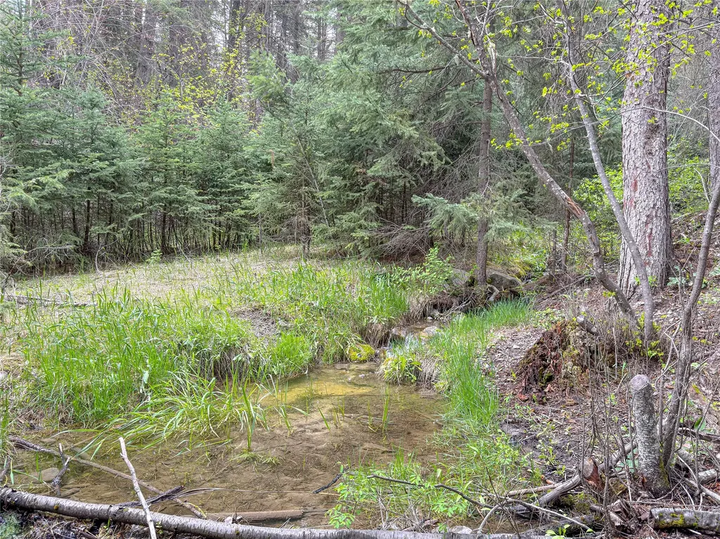 1320 Coon Hollow Road Kila MT 59920