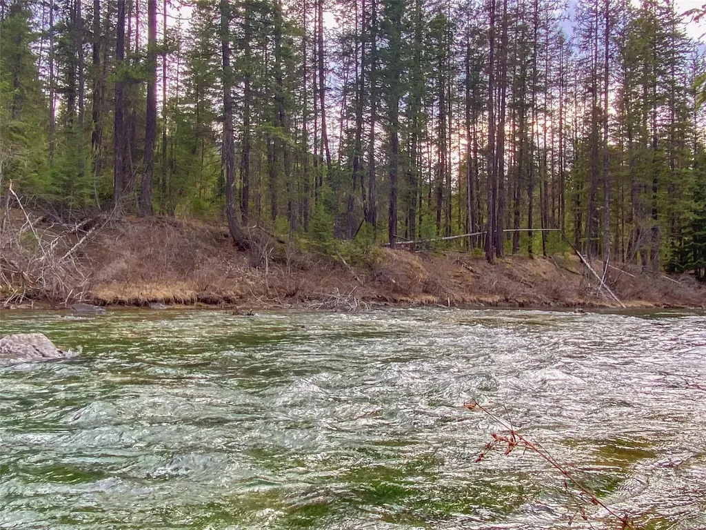 129 Trout Creek Road Trout Creek MT 59874