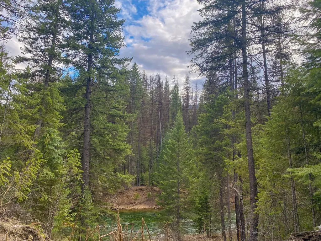 129 Trout Creek Road Trout Creek MT 59874