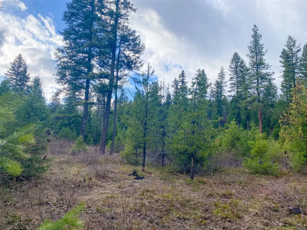 129 Trout Creek Road Trout Creek MT 59874