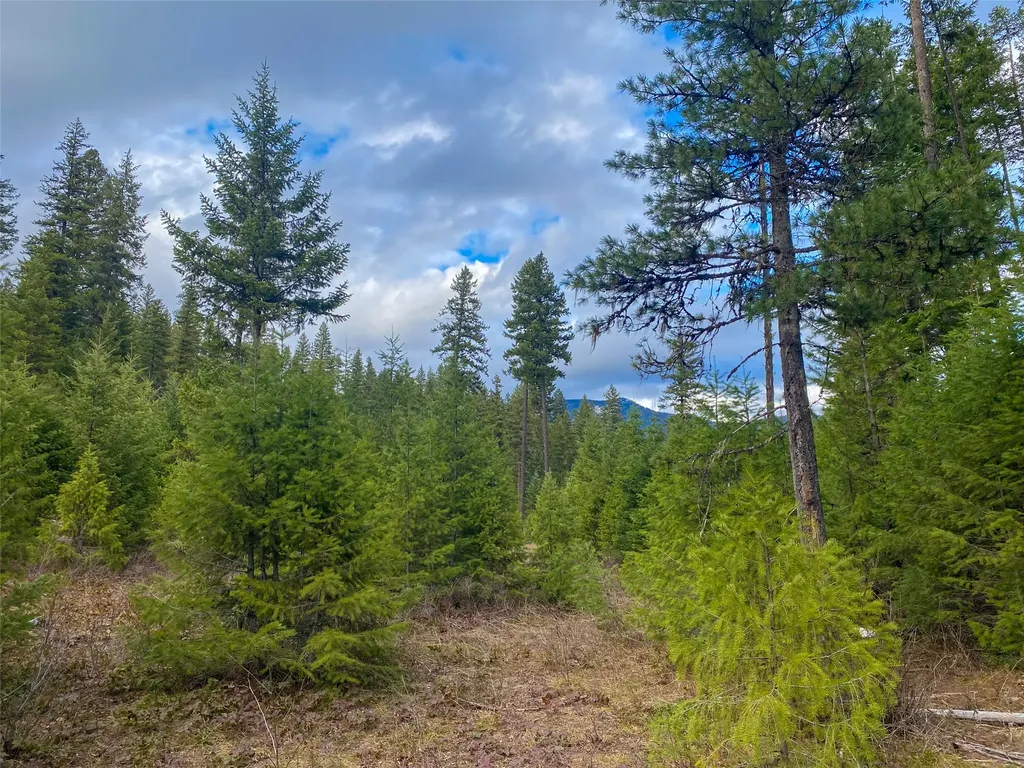 129 Trout Creek Road Trout Creek MT 59874