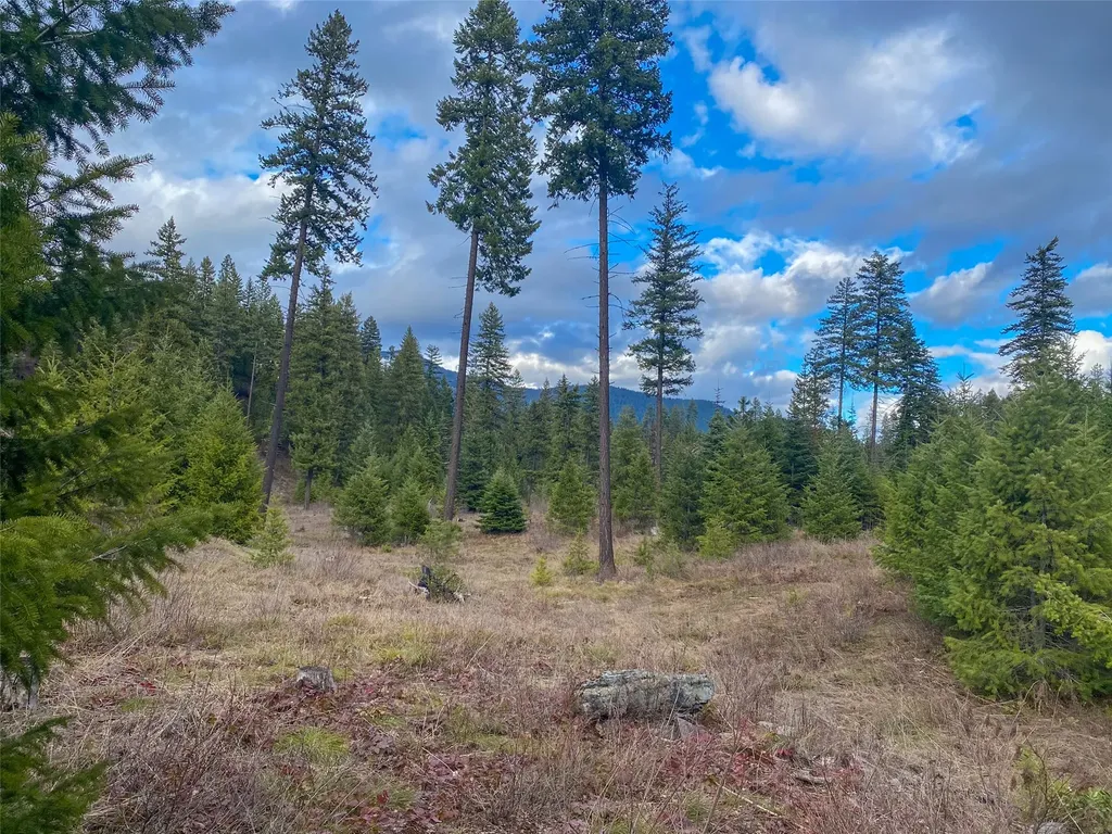 129 Trout Creek Road Trout Creek MT 59874