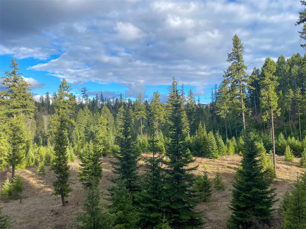129 Trout Creek Road Trout Creek MT 59874