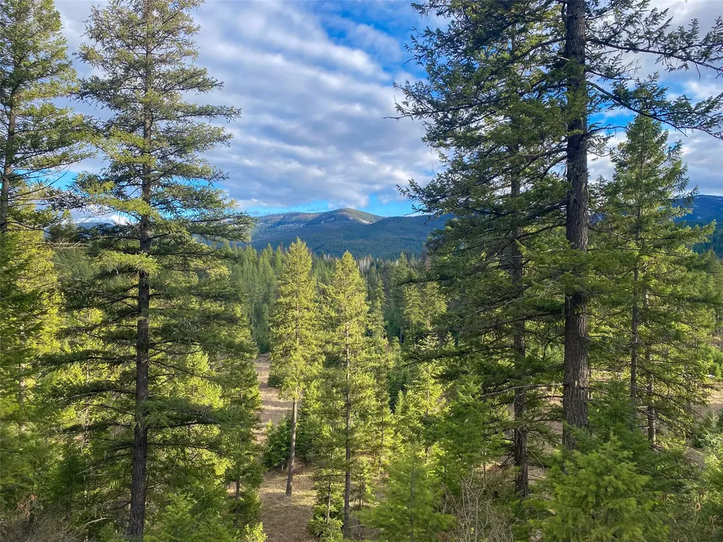 129 Trout Creek Road Trout Creek MT 59874